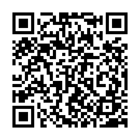 QR code for 385MGR