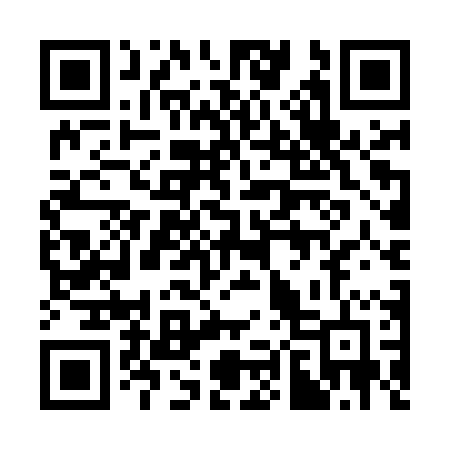 QR code for 385MPD