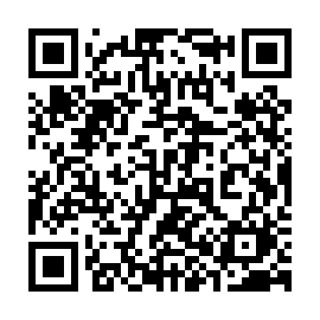 QR code for 385PRM