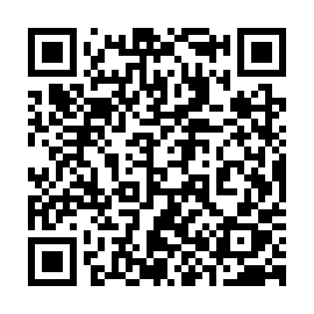 QR code for 385SPX