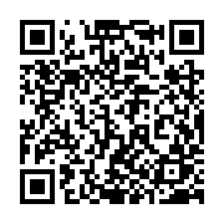 QR code for 385SYR