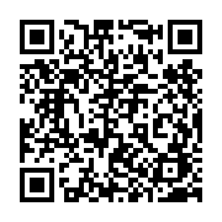 QR code for 385TGB