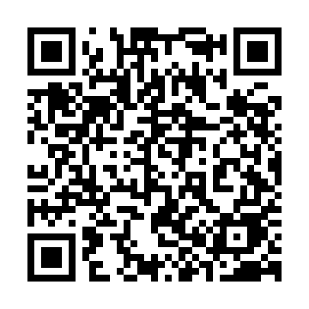 QR code for 386IEE