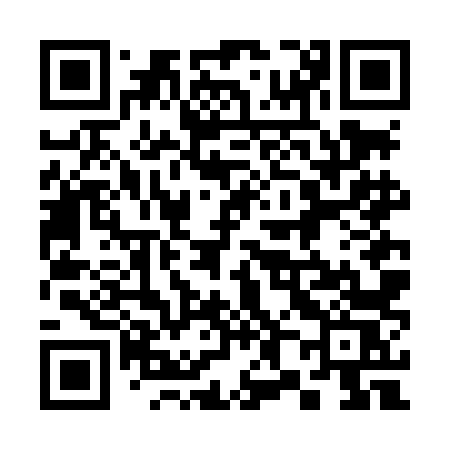 QR code for 386LLS