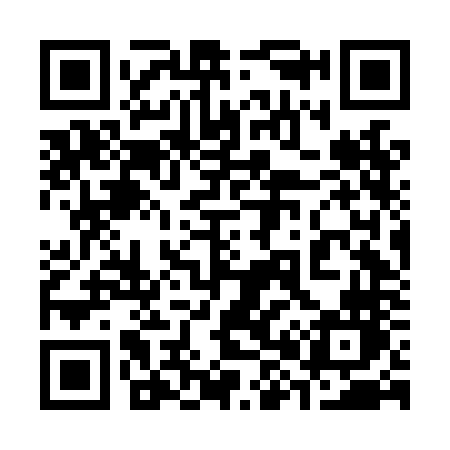 QR code for 386LNN