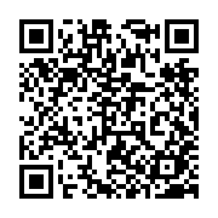QR code for 386NHM