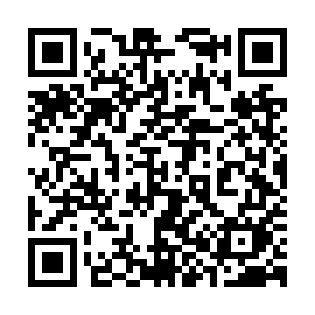 QR code for 386NUM