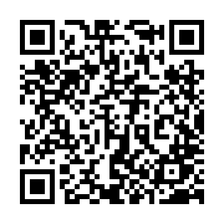 QR code for 386SLT