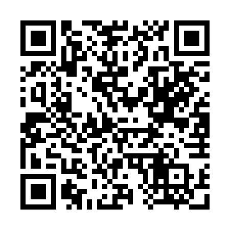QR code for 387BFP