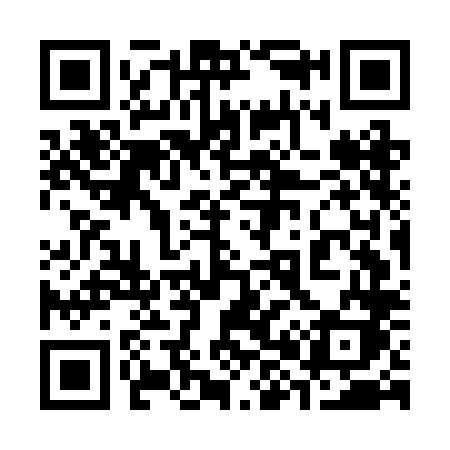 QR code for 387BLK