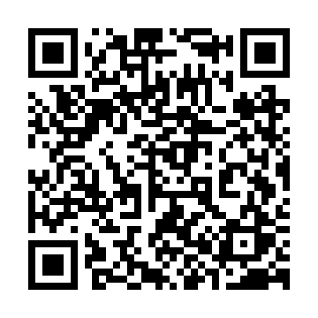 QR code for 387BRS