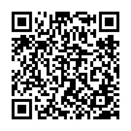 QR code for 387FOV