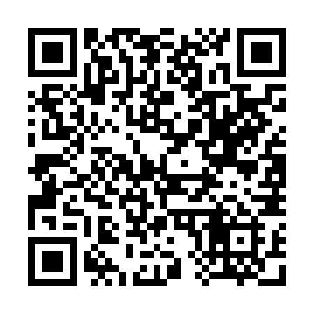 QR code for 387NNI
