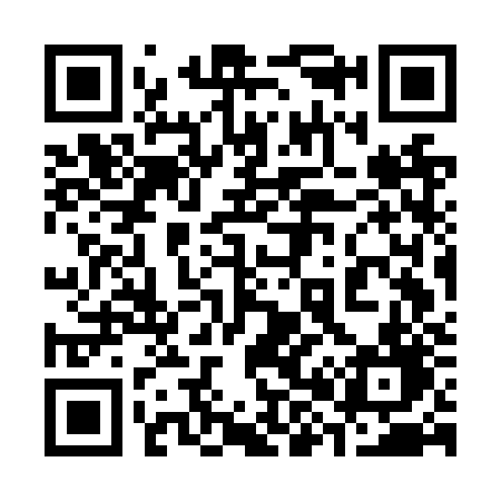 QR code for 387NZD