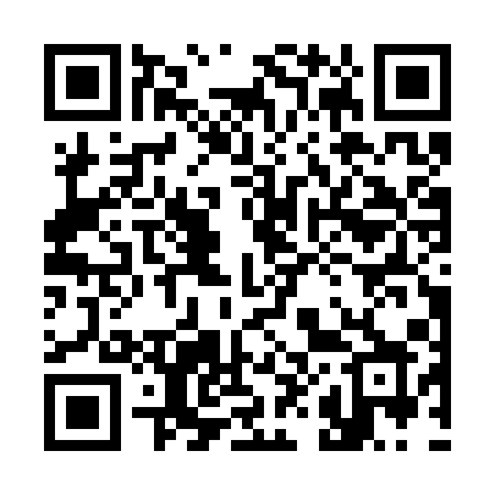QR code for 387SQX