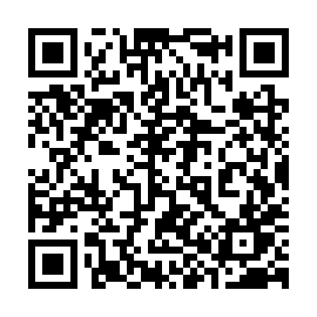 QR code for 387SXT
