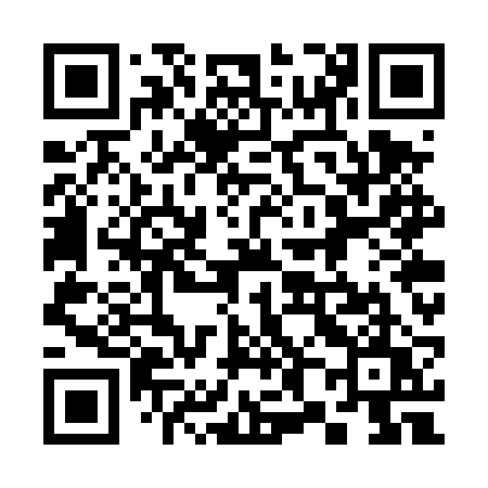 QR code for 387TRU