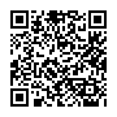 QR code for 388TAS