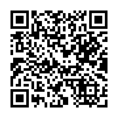QR code for 388YII