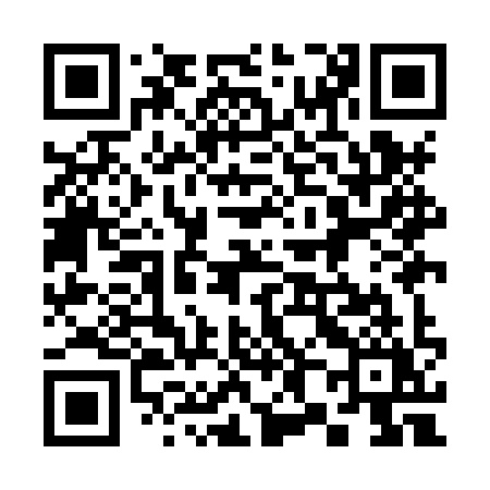 QR code for 389HYY
