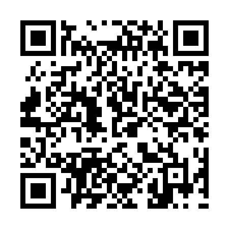 QR code for 389IDL