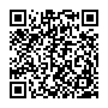 QR code for 389IFN