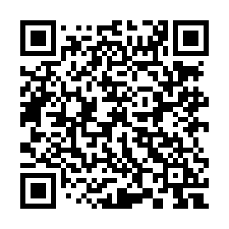 QR code for 389LEI