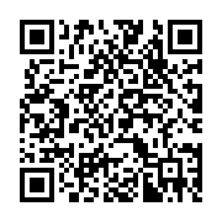 QR code for 389MID