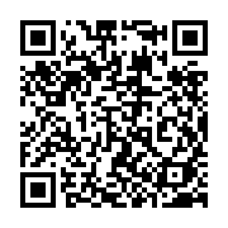 QR code for 389ZII