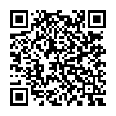QR code for 390LMJ
