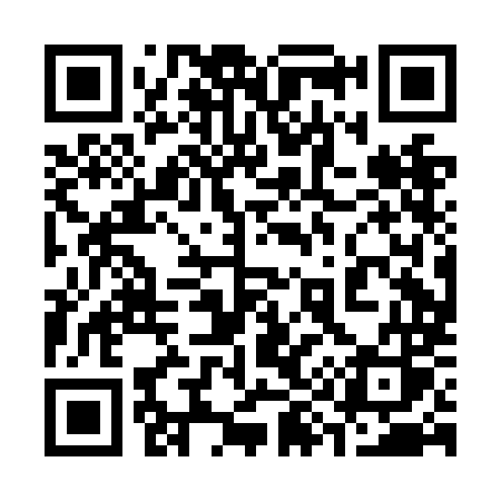 QR code for 390NMS