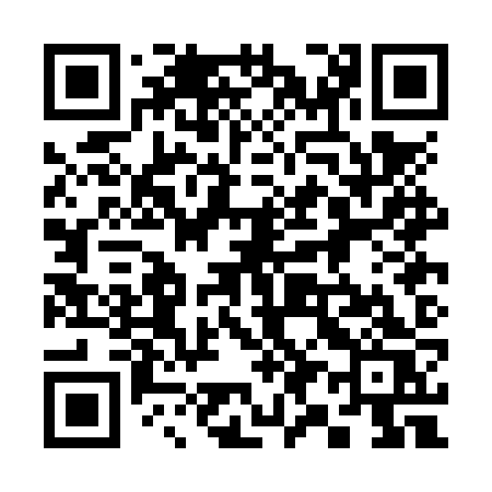 QR code for 390NZS