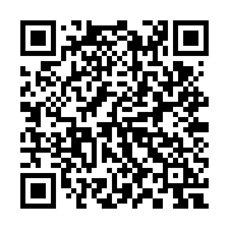 QR code for 390VUI