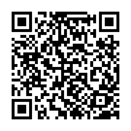 QR code for 391CHZ