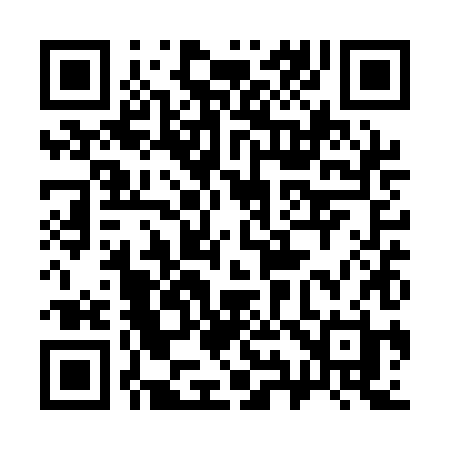 QR code for 391QHH