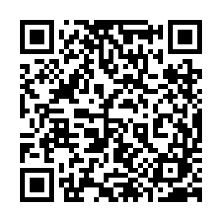 QR code for 391SDM