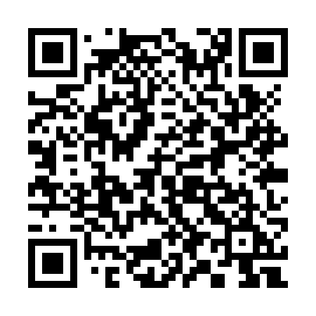 QR code for 391ZZE
