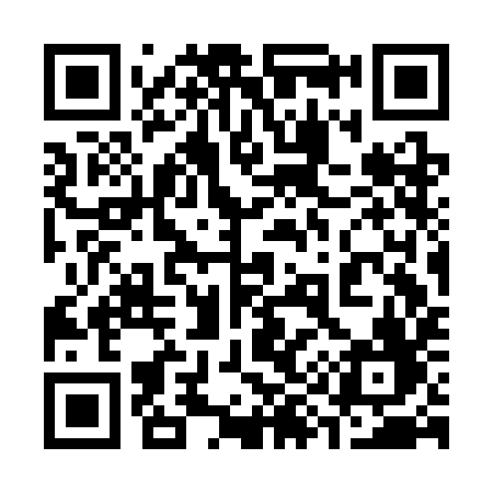 QR code for 393CIF
