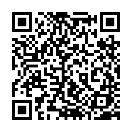 QR code for 393CNH