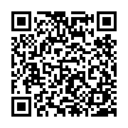 QR code for 393DOL