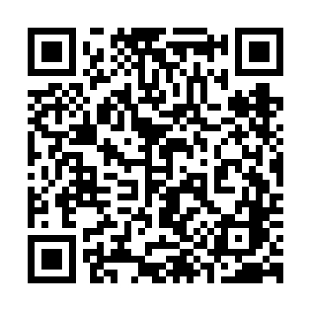 QR code for 393FDC
