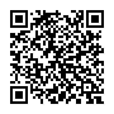 QR code for 393HED