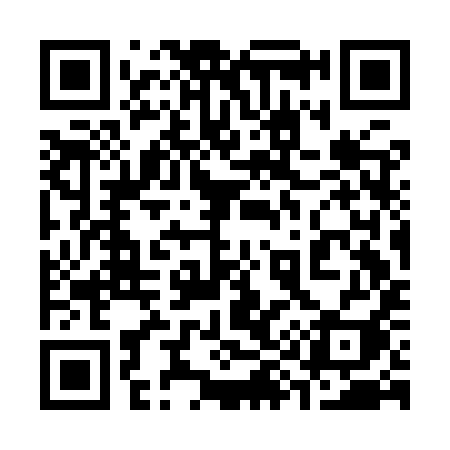 QR code for 393IYI