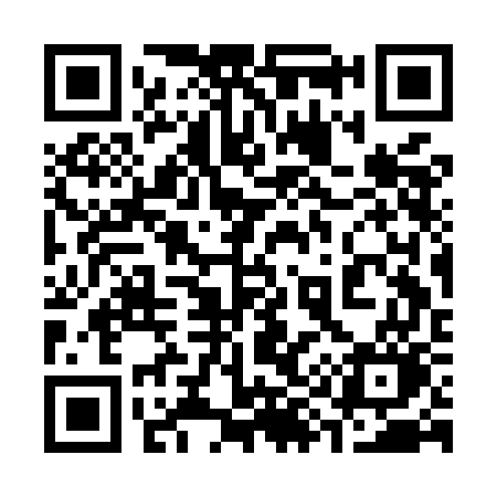 QR code for 393MGO