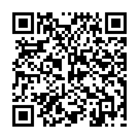 QR code for 393MPH