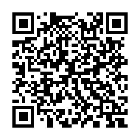 QR code for 393MSC