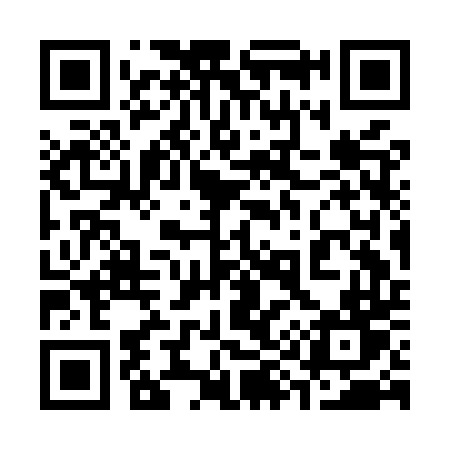 QR code for 393MTT