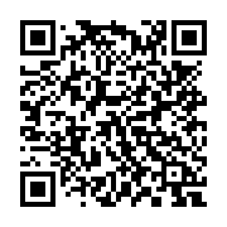 QR code for 393NUB