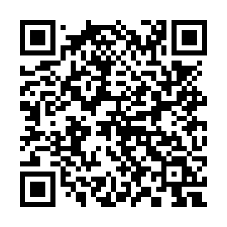 QR code for 393NZL