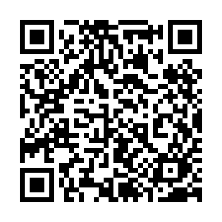 QR code for 393PAO